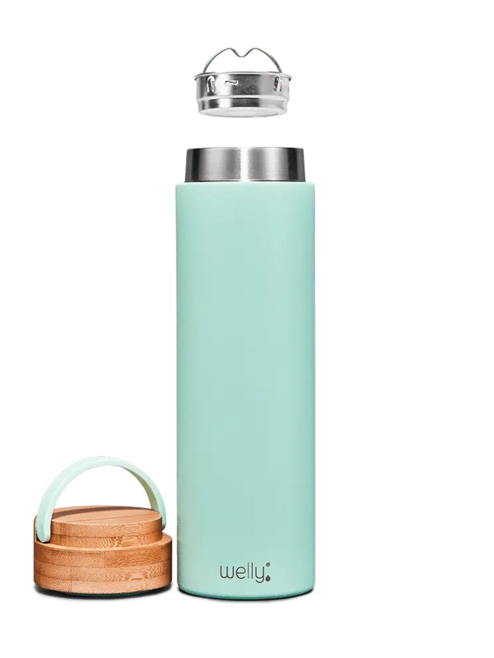 Welly Traveler 20oz Water Bottle (+ Removable Infuser)